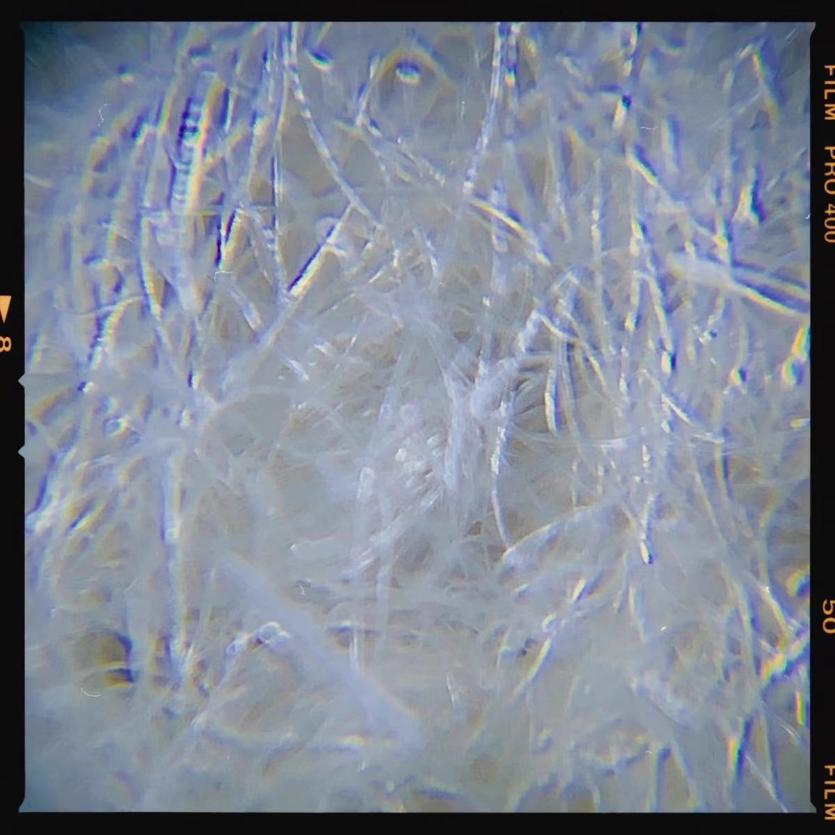 Mobile Assistant 60x Microscope